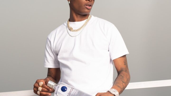 28 Most controversial Nigerian artists (The Vawulence Activated)