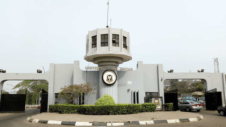 Performance: Top Best Universities In Nigeria