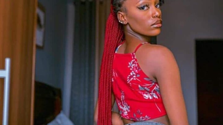 Big Brother Titans Nana Basheru Biography: Net Worth, Boyfriend, BBTitans, Age, Instagram, Nationality