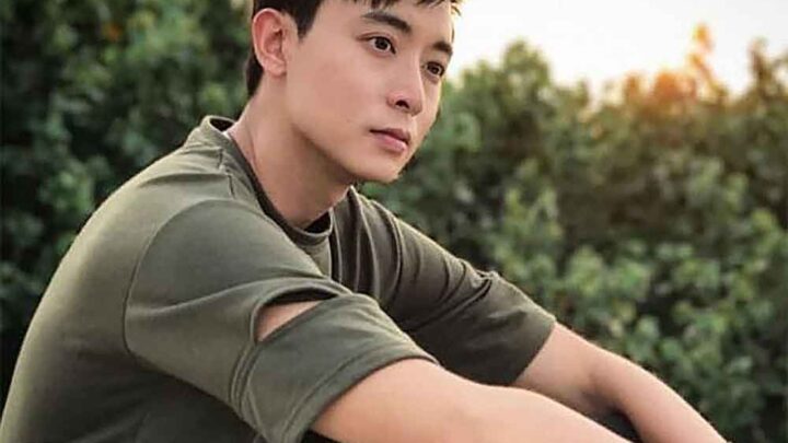 Aloysius Pang Biography: Cause Of Death, Age, Wife, Net Worth, Drama List, Accident, Movies, Girlfriend