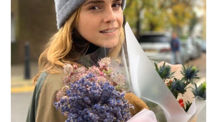 Emma Watson Biography: Movies, Husband, Net Worth, Height, Age, Education, Instagram, Boyfriend, Siblings