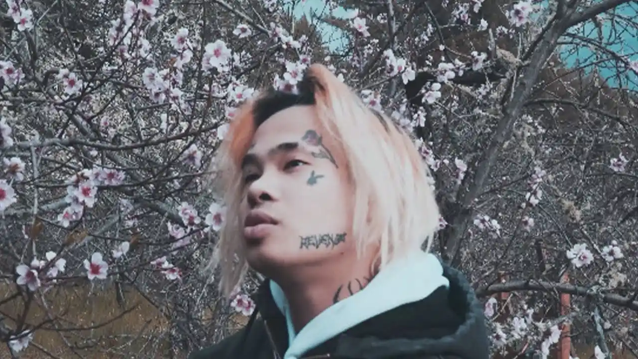 Kid Trunks Biography: Net Worth, DBZ, Age, Wikipedia, Songs, Girlfriend ...