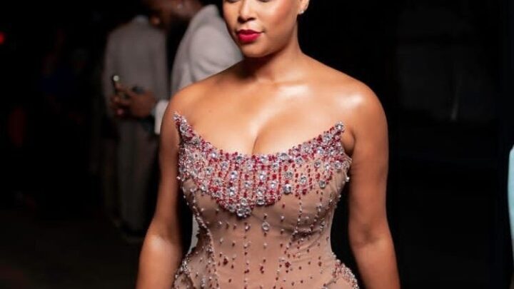 Minnie Dlamini Biography: Husband, Age, Net Worth, Baby Shower, Married, Wedding, Brother, House, Wiki