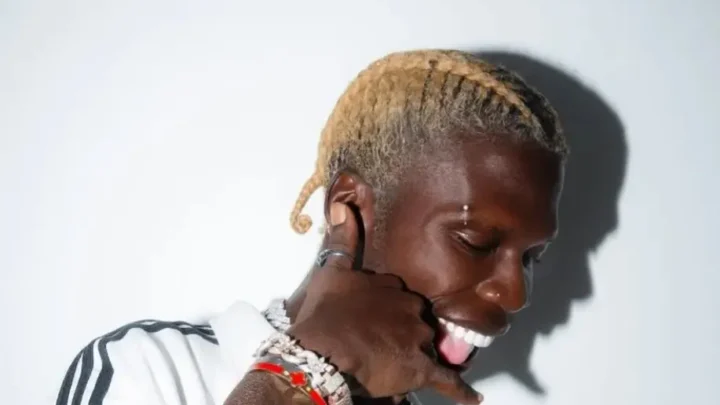 Seyi Vibez Biography [Age, Net Worth, Songs, Facts, Wiki, Girlfriend, Phone Number, Wife & More]