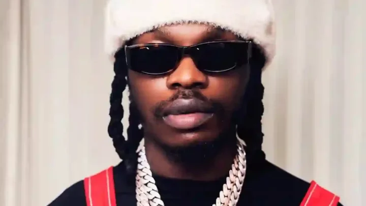 Naira Marley Biography: Age, Net Worth, Brother, Wikipedia, Wife, Children, Girlfriend, Photos, Cars, Record Label, Sister, Brother