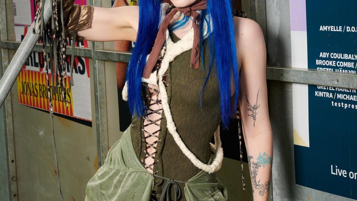 Ashnikko Biography: Age, Songs, Partner, Net Worth, Instagram, Real Name, Pronouns, Before Surgery, Is she Deaf? Ashnikko Biography: Age, Songs, Partner, Net Worth, Instagram, Real Name, Pronouns, Before Surgery, Is she Deaf?