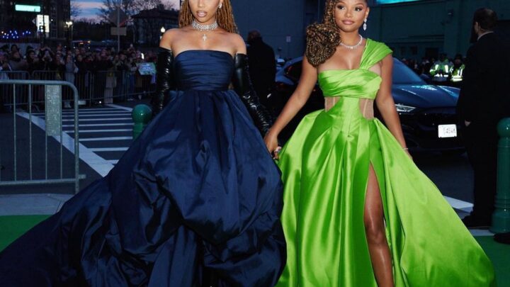 Chloe x Halle Biography: Age, Members, Songs, Albums, Sisters, Origin, Awards, Record Label