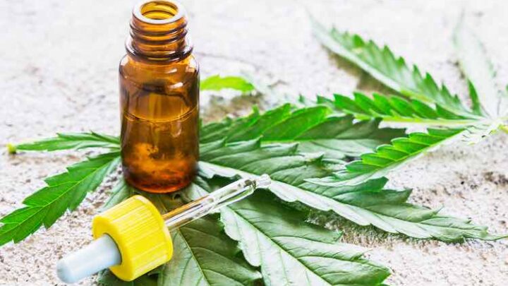 Health Benefits, Dosage, Safety, and Side Effects of Cannabis Plant