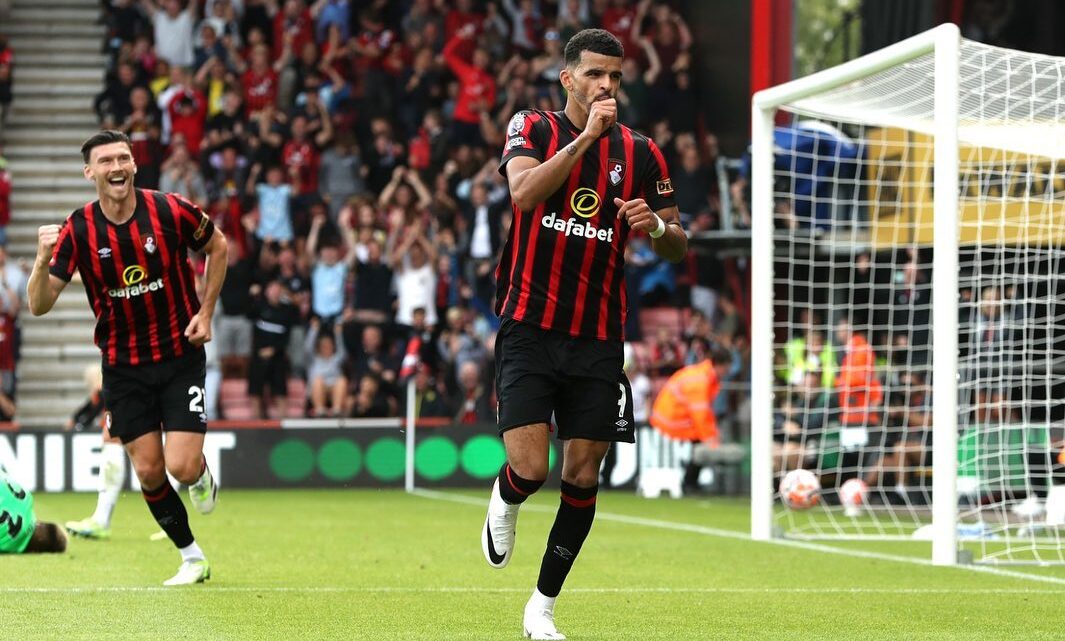 Dominic Solanke Biography: Parents, Net Worth, Stats, Age, Siblings, Salary, Wife, Goals, Nationality Dominic Solanke Biography: Parents, Net Worth, Stats, Age, Siblings, Salary, Wife, Goals, Nationality