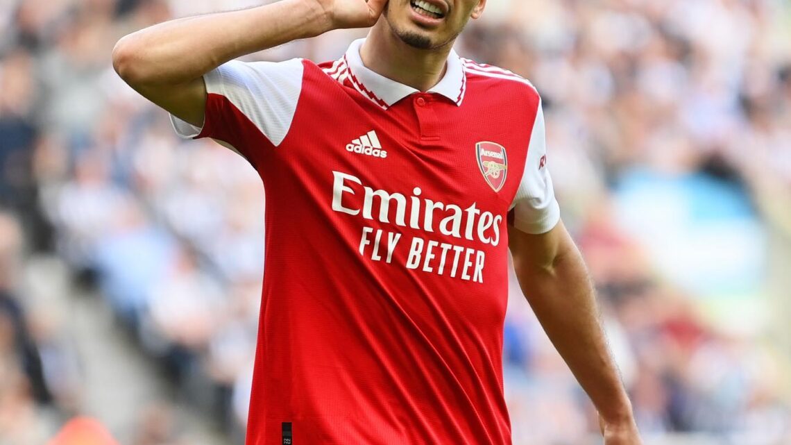 Gabriel Martinelli Biography: Wife, Age, Salary, Net Worth, Stats, Career Goals, House, Games, Market Value Gabriel Martinelli Biography: Wife, Age, Salary, Net Worth, Stats, Career Goals, House, Games, Market Value