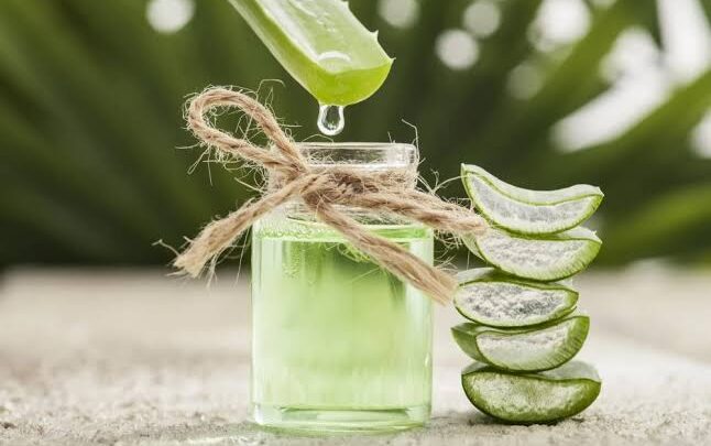 Natural and Potent Home Remedies to Battle Stretch Marks