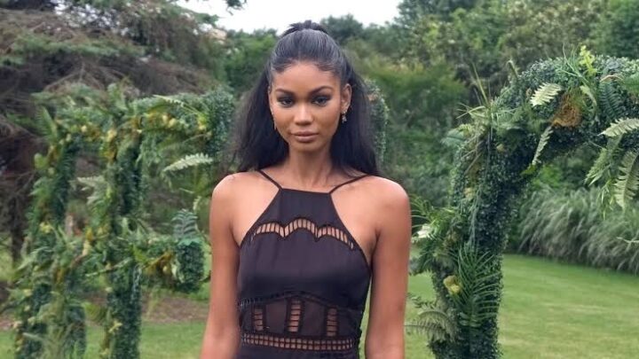 Chanel Iman Biography: Husband, Net Worth, Children, Age, Parents, Height, Movies, IMDB