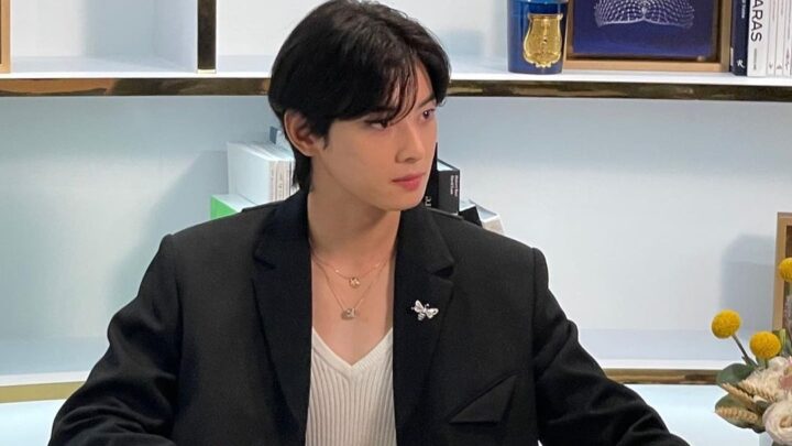 Cha Eun-woo Biography: Height, Age, Girlfriend, Net Worth, Real Name, Movies, Songs, Brother, Wife, Parents