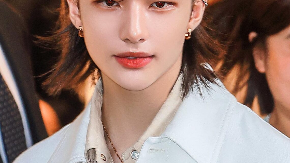 Hyunjin Biography: Age, Siblings, Net Worth, Songs, Girlfriend, Parents, Education, Height Hyunjin Biography: Age, Siblings, Net Worth, Songs, Girlfriend, Parents, Education, Height