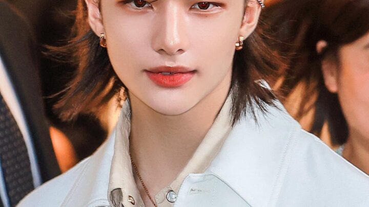 Hyunjin Biography: Age, Siblings, Net Worth, Songs, Girlfriend, Parents, Education, Height