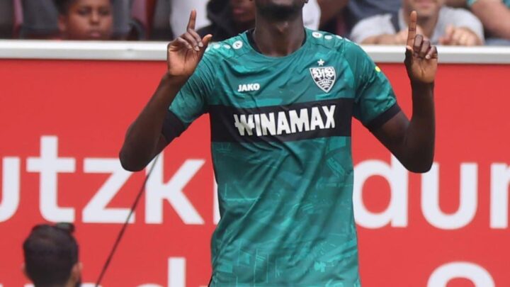 Serhou Guirassy Biography: Stats, Age, FIFA, Net Worth, Salary, Goals, Girlfriend, Family, Wiki, Instagram