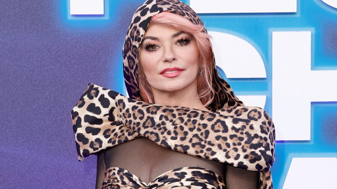 Shania Twain Biography: Songs, Husband, Net Worth, Children, Age, Tour, Concert Shania Twain Biography: Songs, Husband, Net Worth, Children, Age, Tour, Concert