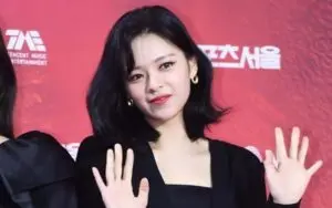Jeongyeon Biography: Awards,TV Shows, Wikipedia, Age, Net Worth, Partner, Siblings