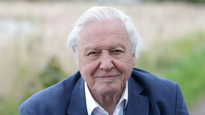 David Attenborough Biography: Age, Spouse, Net Worth, Books, Movie, Wikipedia, Children, Parents