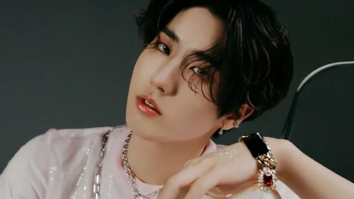 Han Jisung Biography: Age, Siblings, Net Worth, Songs, Girlfriend, Parents, Height
