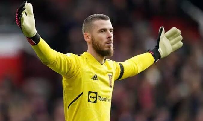 David de Gea Biography: Age, Net Worth, Team, Height, Parents, Wife, Sibling, Children, Instagram, Wiki