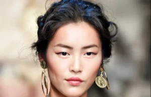 Liu Wen
