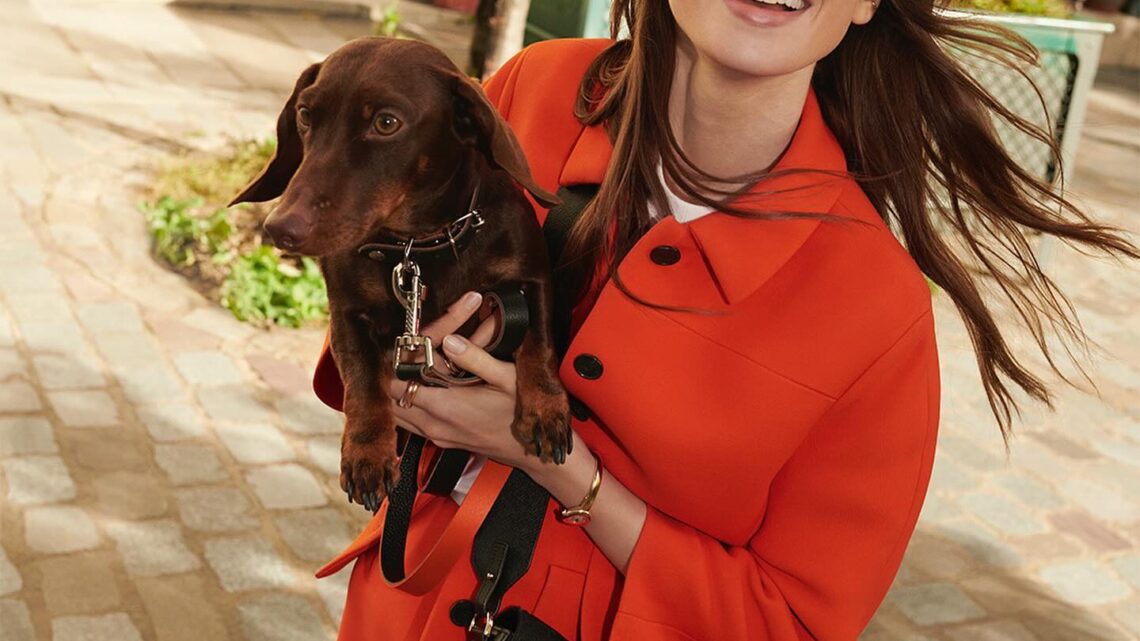 Lily Collins Biography: Age, Net Worth, Height, Instagram, Wiki, Parents, Spouse, Siblings, Awards, Movies Lily Collins Biography: Age, Net Worth, Height, Instagram, Wiki, Parents, Spouse, Siblings, Awards, Movies