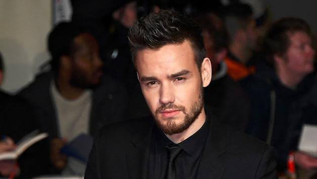Liam Payne Biography: Wife, Age, Net Worth, Songs, Parents, Instagram, Height, Siblings