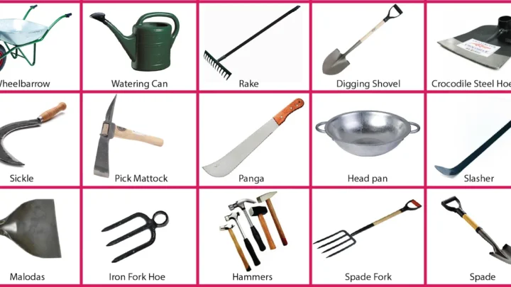 Common Farm Tools and Equipment: Their Names, Uses, and Pictures