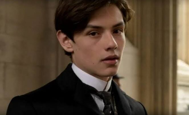 Louis Partridge Biography: Age, Net Worth, Instagram, Spouse, Height, Wiki, Parents, Siblings, Awards, Movies
