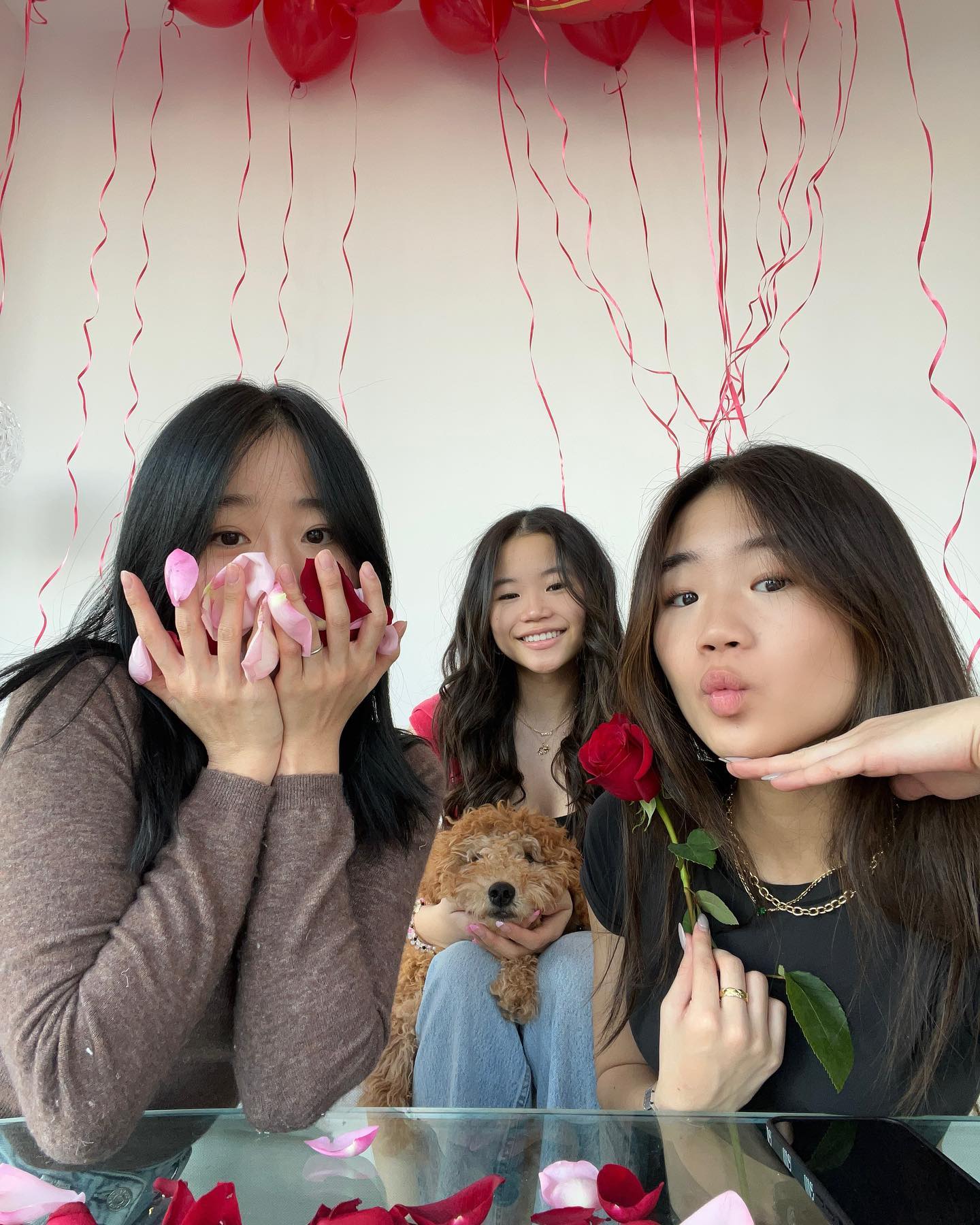 Ha Sisters Biography Age, Members, Net Worth, Parents, Height