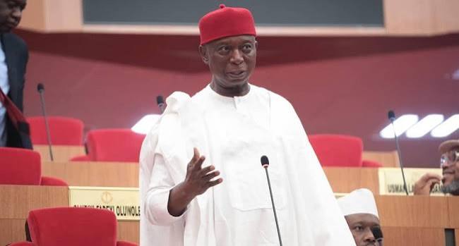 Senator Ned Nwoko Proposes Anioma State for South-East Balance