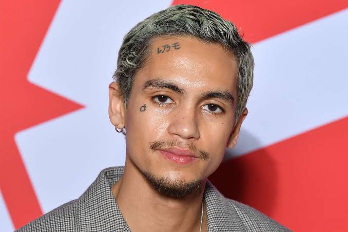 Dominic Fike Biography: Wife, Age, Net Worth, Sister, Height, Albums, Songs, Girlfriend