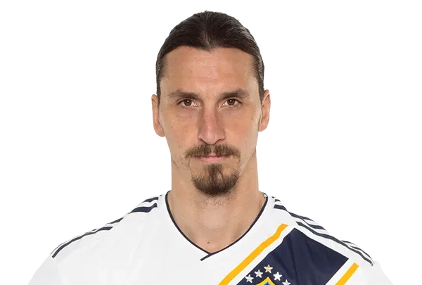 Zlatan Ibrahimović’s Father, Sefik Ibrahimovic Biography: Age, Net Worth, Height, Children, Wife, Career, Ethnicity
