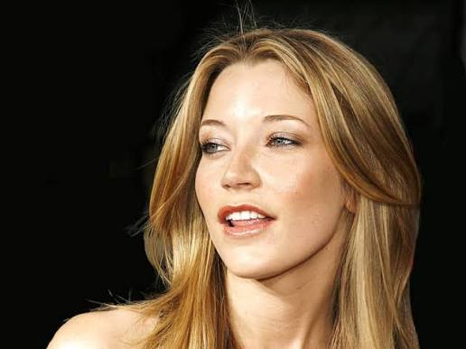 Sarah Roemer Biography: Age, Net Worth, Instagram, Spouse, Height, Wiki, Parents, Siblings, Children, Movies, Awards