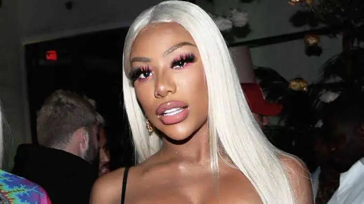 Shannade Clermont Biography: Twins, Age, Height, Wiki, Instagram, Net Worth, Pictures, Surgery