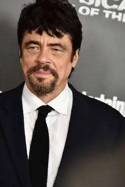 Benicio del Toro Biography: Parents, Wife, Best Movie, Age, Daughter, Net Worth