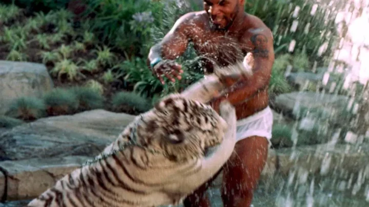 What Was Behind Mike Tyson’s Exotic Tiger Ownership and Its Risks?