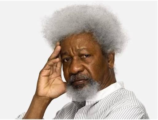 Debate Erupts Over National Recognition for Professor Pius N. Okeke vs. Wole Soyinka