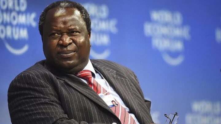 Former South African Finance Minister Tito Mboweni Dies at 68