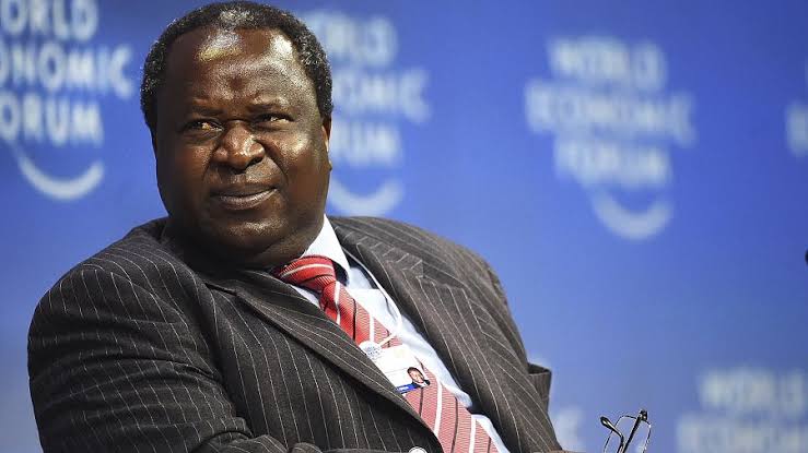 Former South African Finance Minister Tito Mboweni Dies at 68