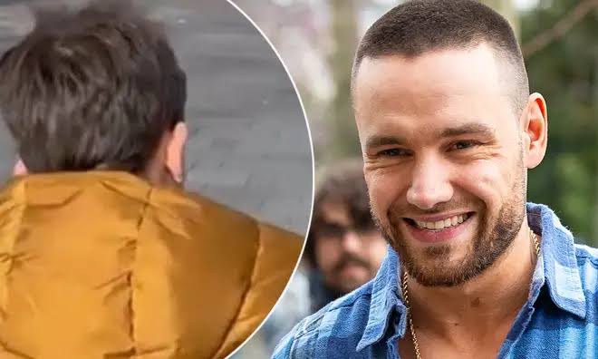 Liam Payne & Cheryl’s son Bear Gray Payne Biography: Age, Net Worth, Parents, Siblings, Height
