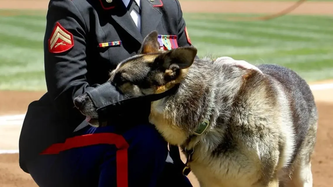 Megan Leavey’s Marital Status: Who is Her Husband?
