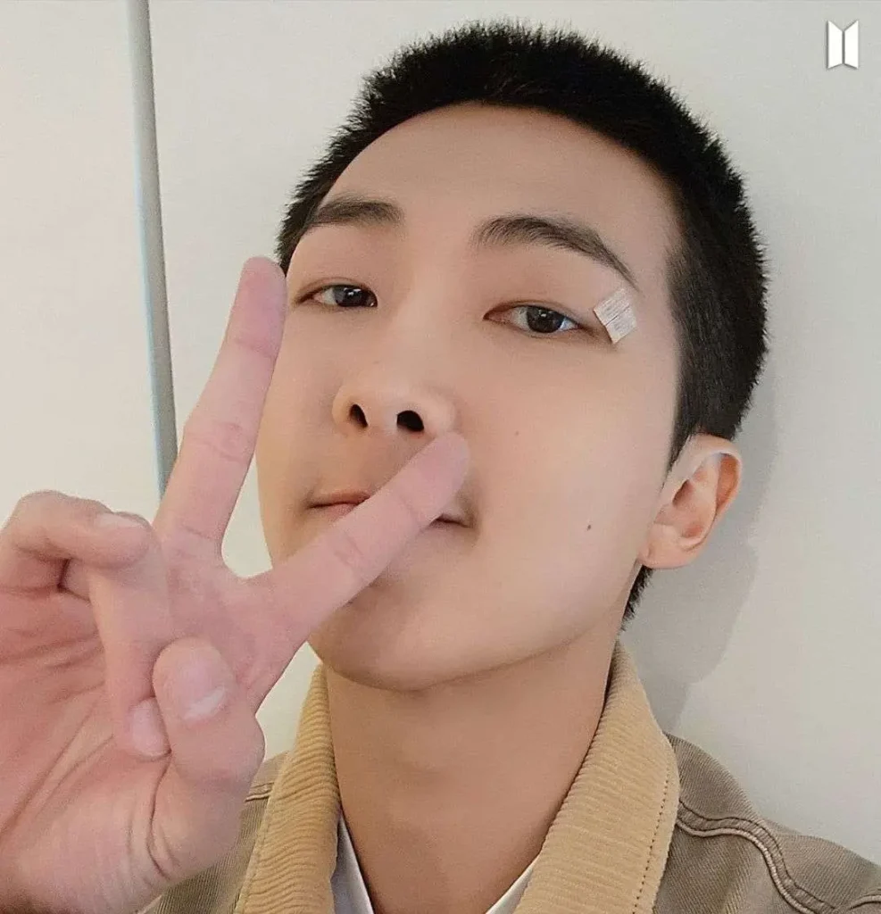 RM (musician) Biography: Wife, Age, Mother, Date of Birth, Songs, Movies, Awards, Wikipedia, Height, Net Worth