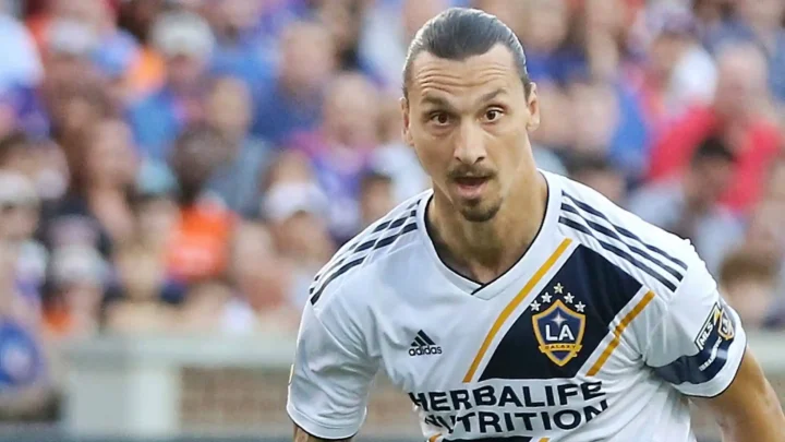 Meet Zlatan Ibrahimović’s Parents: Jurka Gravić and Šefik Ibrahimović