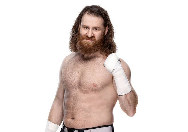 Sami Zayn Biography: Wife, Religion, Age, Parents, Wikipedia, Wedding, Net Worth, Instagram