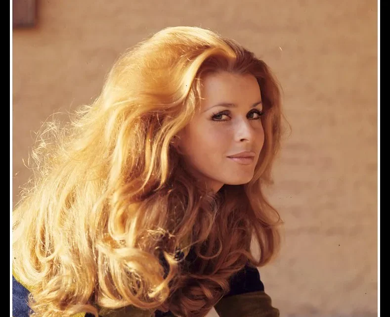 Senta Berger Biography: Instagram, Age, Husband, Net Worth, Height, Movies & TV Shows, Siblings, Wikipedia