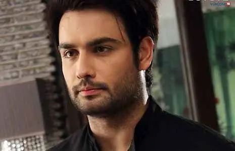 Vivian Dsena Biography: Age, Parents, Wikipedia, Father, Daughter, Instagram, Movies, Net Worth, Wife