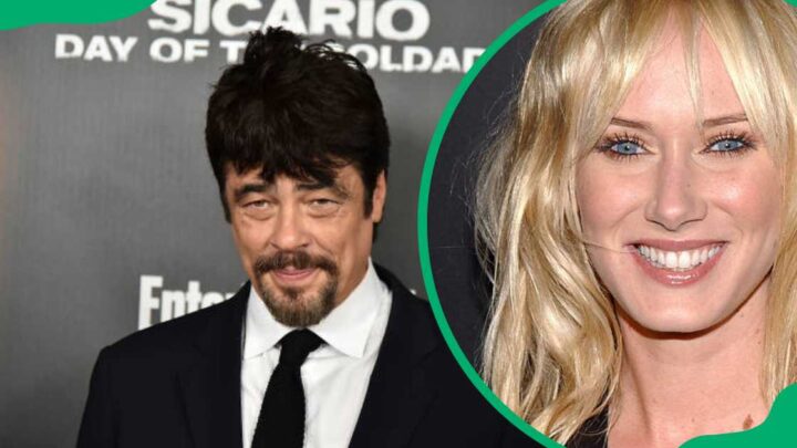 Benicio Del Toro: Who is the Actor’s Wife or Girlfriend?