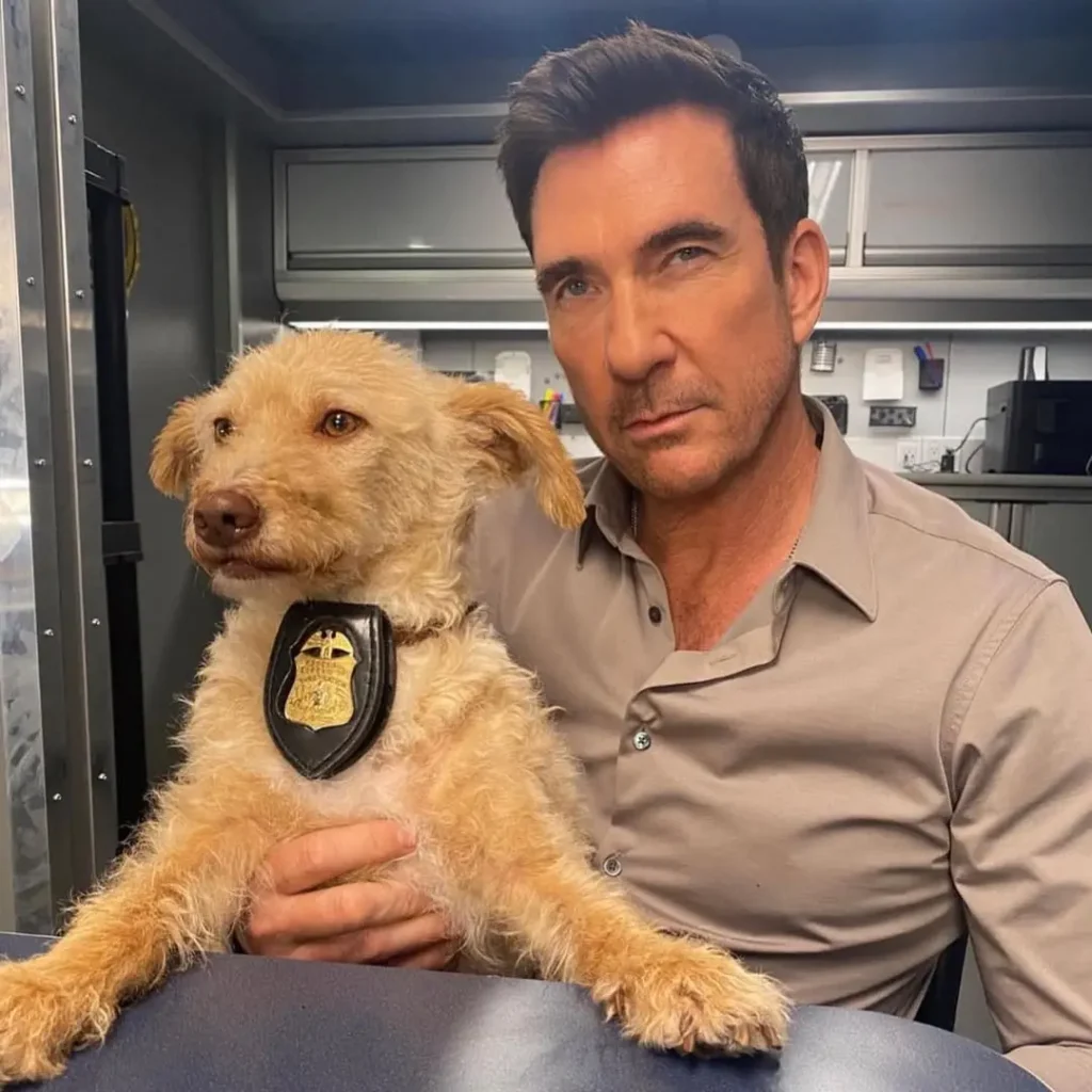 Dylan McDermott Biography: Wife, Net Worth, Siblings, Height, Children, Age, Awards, Parents, Movies